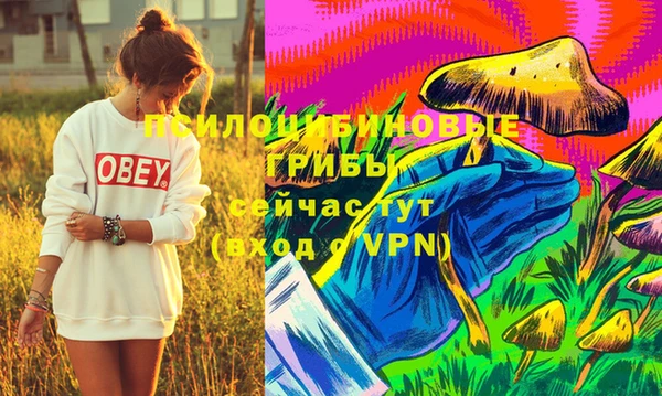 ешки Белоозёрский