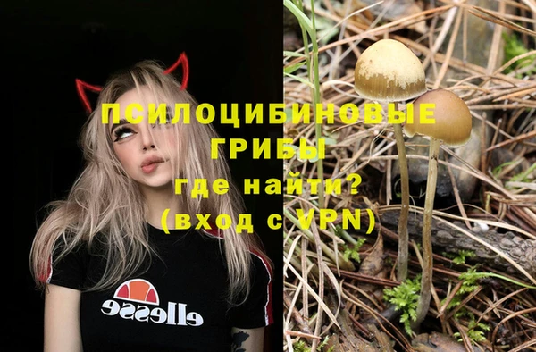 соль ск Белокуриха