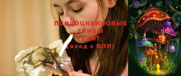соль ск Белокуриха