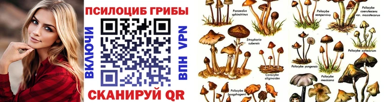 Псилоцибиновые грибы Cubensis  наркотики  Светлый 